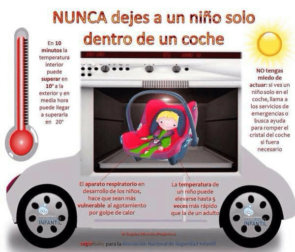 En este momento estás viendo Reflexiones de la siesta