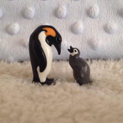 En este momento estás viendo Blogera recomendada – Las aventuras de bebé pingüino y su mamá