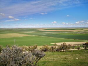 Lee más sobre el artículo Un paseo por Tierra de Campos.