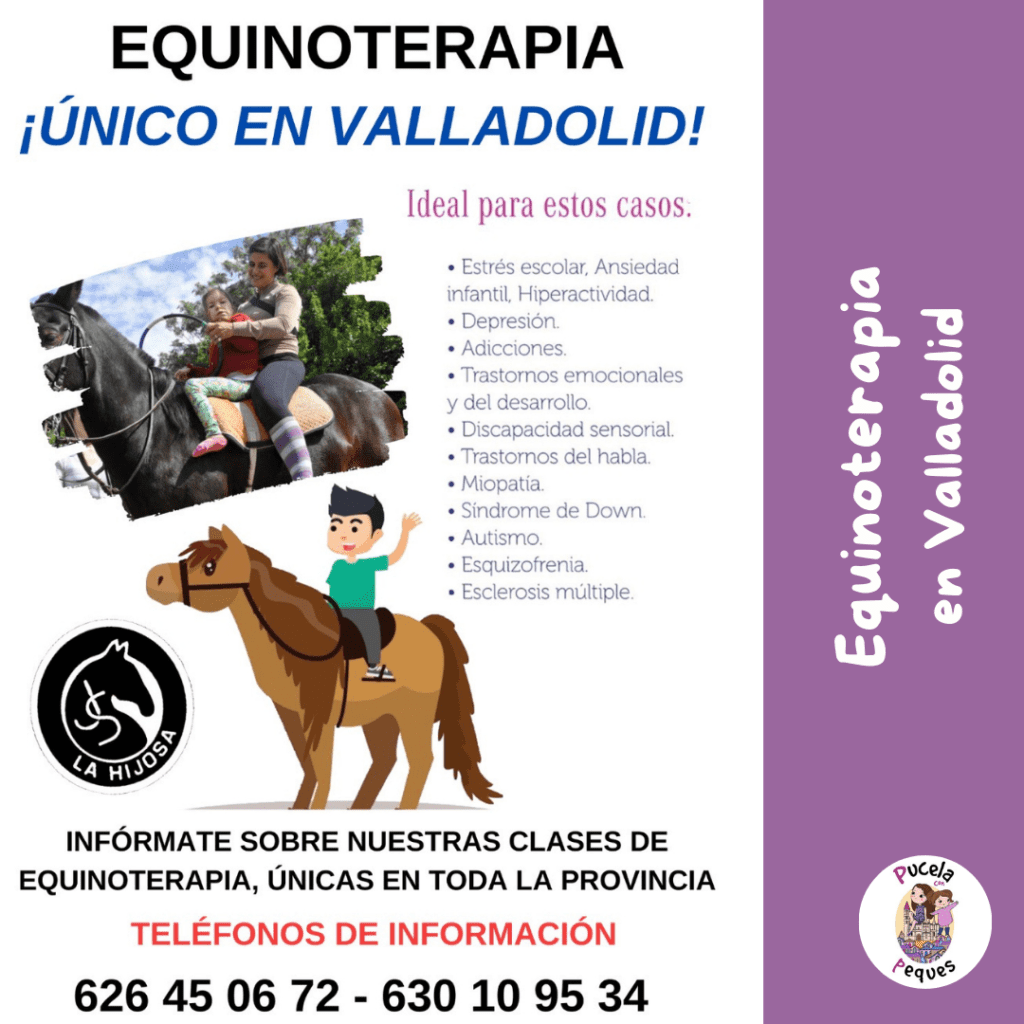 Lee más sobre el artículo Equinoterapia en Valladolid