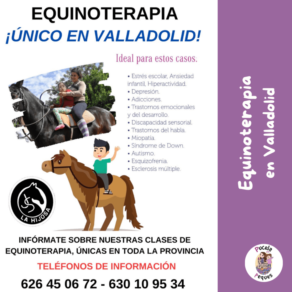 En este momento estás viendo Equinoterapia en Valladolid