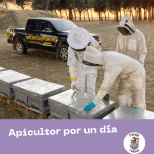 Lee más sobre el artículo Apicultor por un día