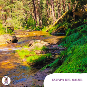 Lee más sobre el artículo Escapa del calor