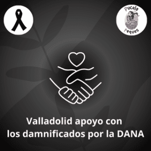 Lee más sobre el artículo Valladolid apoyo con la DANA