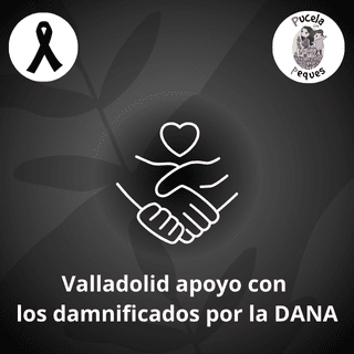Lee más sobre el artículo Valladolid apoyo con la DANA