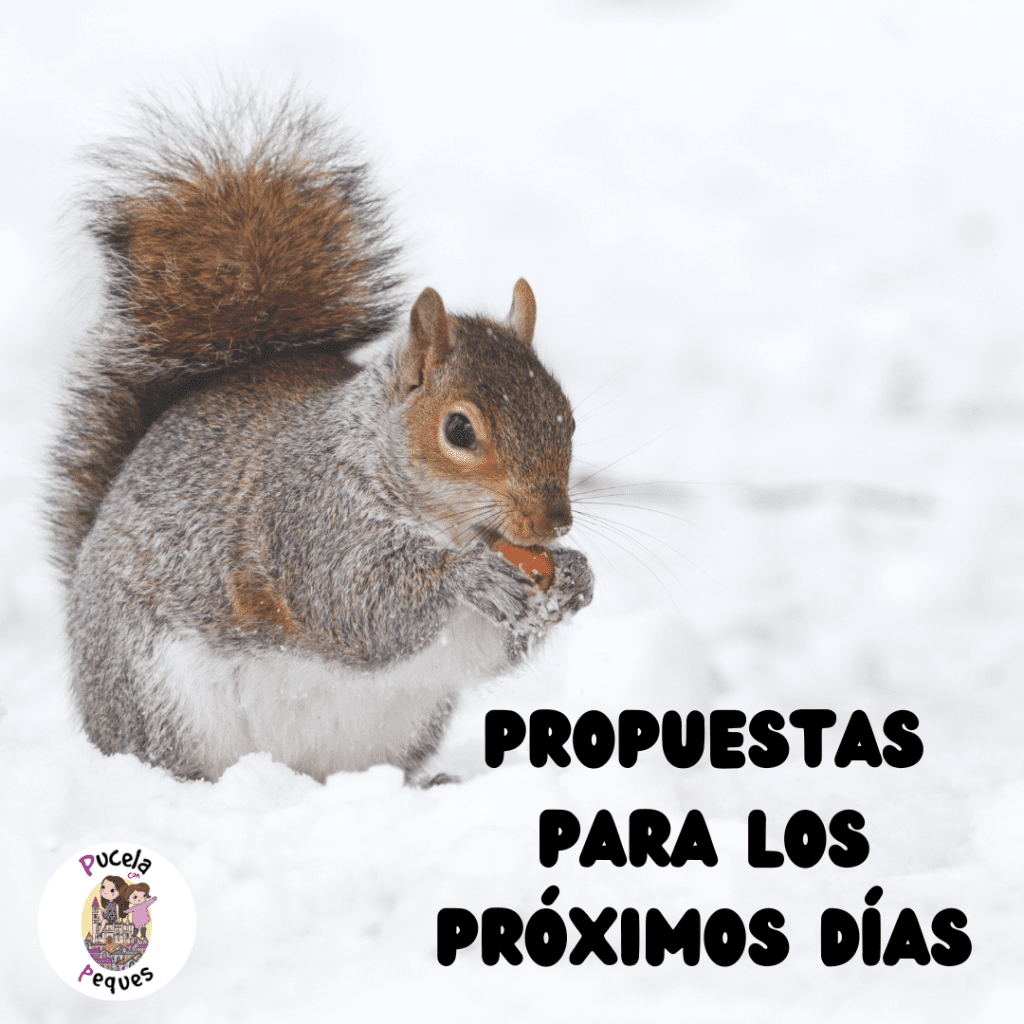 En este momento estás viendo Propuestas para los próximos días
