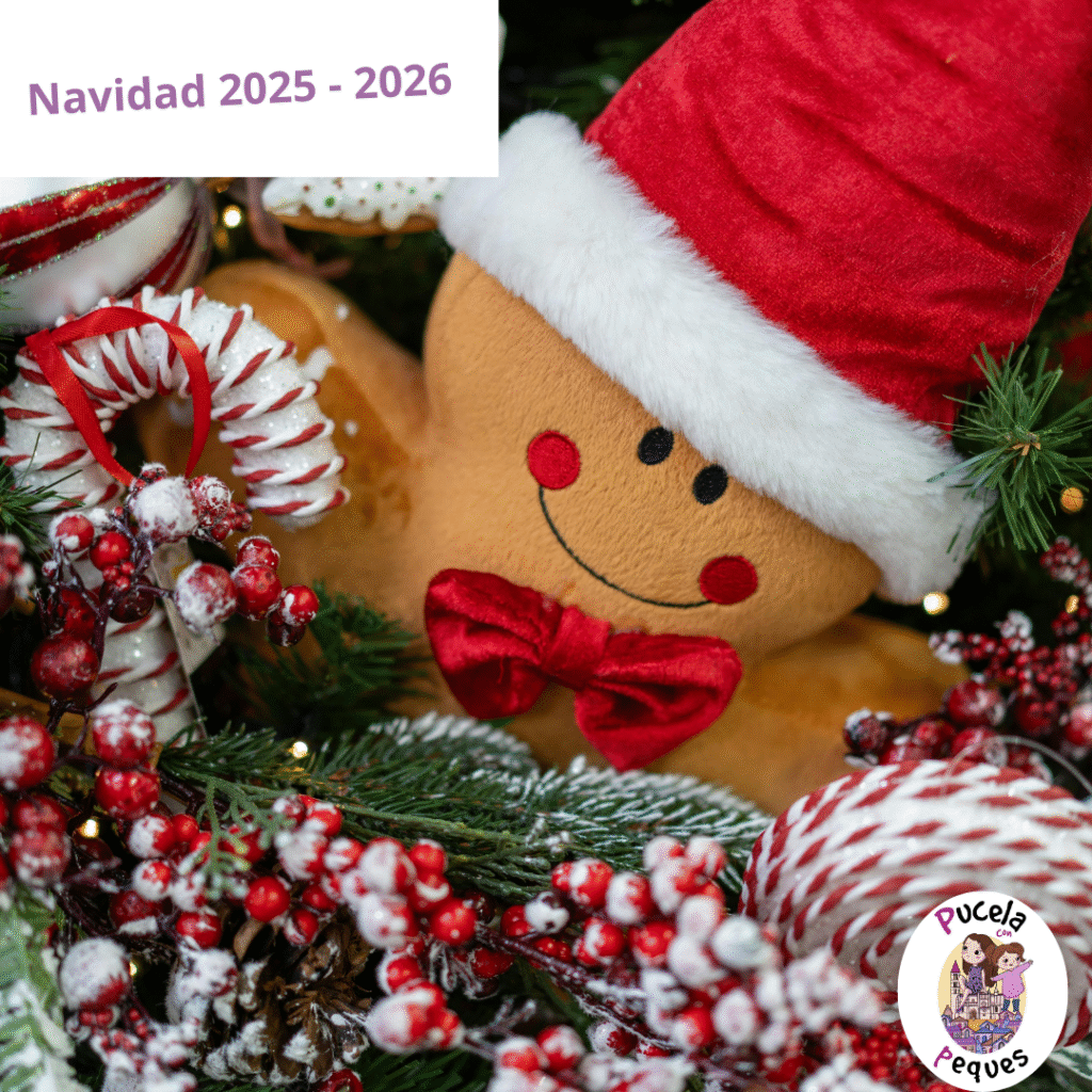 Lee más sobre el artículo Navidad 2025 – 2026