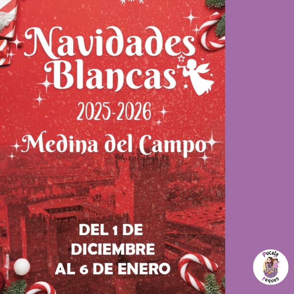 Lee más sobre el artículo Navidad en Medina del Campo