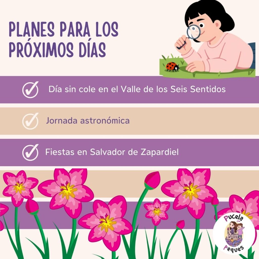 Lee más sobre el artículo Planes para los próximos días